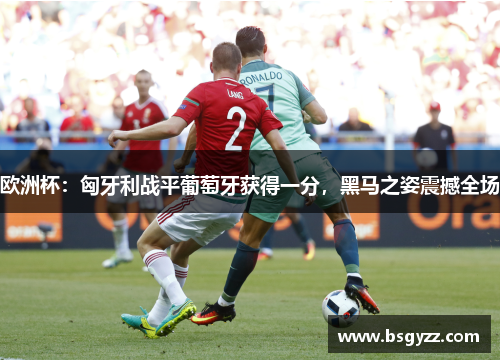 欧洲杯：匈牙利战平葡萄牙获得一分，黑马之姿震撼全场