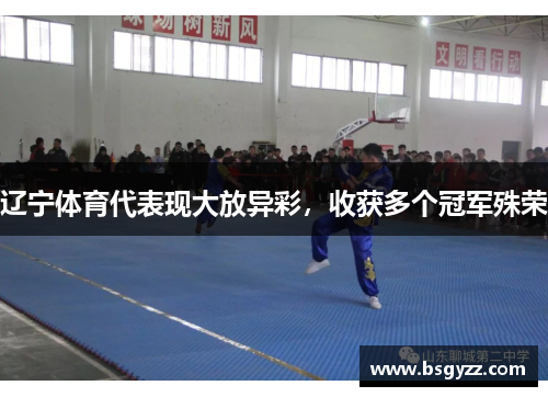 辽宁体育代表现大放异彩，收获多个冠军殊荣